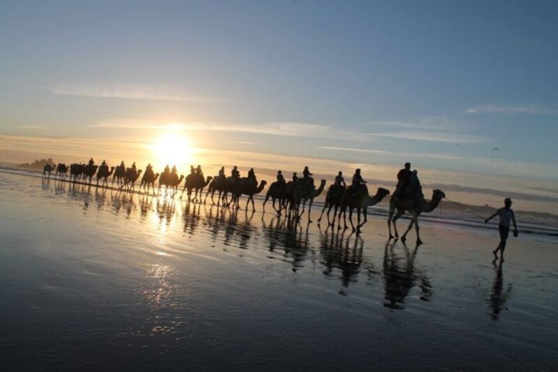 Essaouira: 2 Hours Quad Bike Tour and 1 Hour Camel Ride - Tour Overview