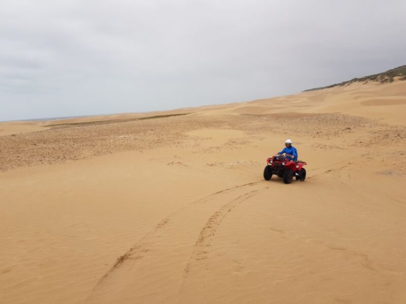 Essaouira: 2 Hours Quad Bike Tour and 1 Hour Camel Ride - Camel Ride Adventure