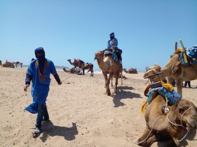 Essaouira: 2 Hours Quad Bike Tour and 1 Hour Camel Ride - Transport and Inclusions