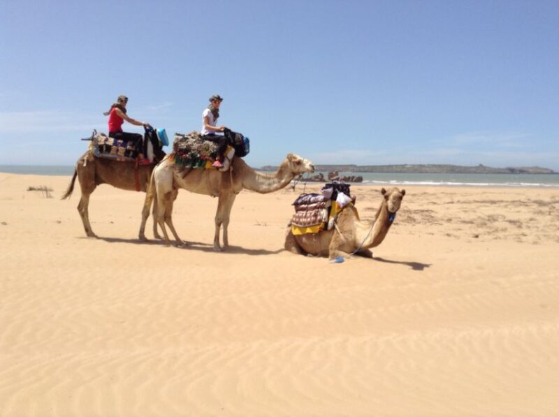 Essaouira: 3-Hour Dromedary Ride and Berber Tent Overnight - Good To Know
