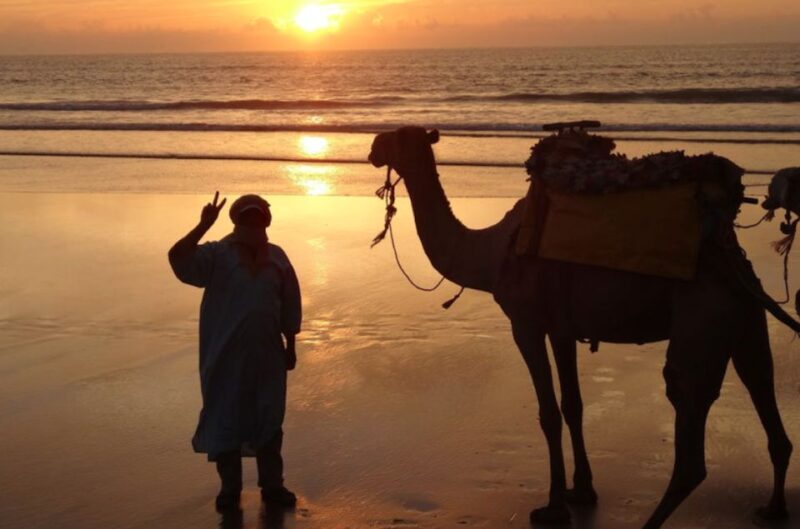 Essaouira: 3-Hour Dromedary Ride and Berber Tent Overnight - Overview of the Experience