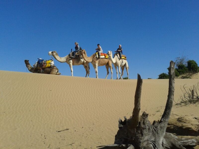 Essaouira: 3-Hour Dromedary Ride and Berber Tent Overnight - Cultural Immersion in the Berber Tent