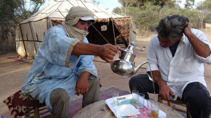 Essaouira: 3-Hour Dromedary Ride and Berber Tent Overnight - Tour Route and Itinerary Details