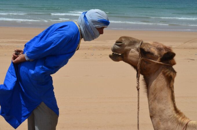 Essaouira: 3-Hour Dromedary Ride and Berber Tent Overnight - Customer Feedback and Ratings
