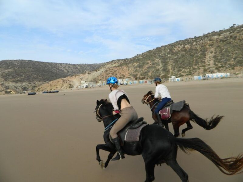 Essaouira: 3-Hour Horse Ride and Berber Tent Overnight - Good To Know