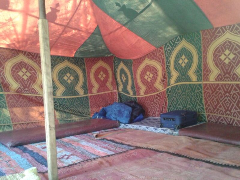Essaouira: 3-Hour Horse Ride and Berber Tent Overnight - Arabian-Berber Horses and Beach Riding