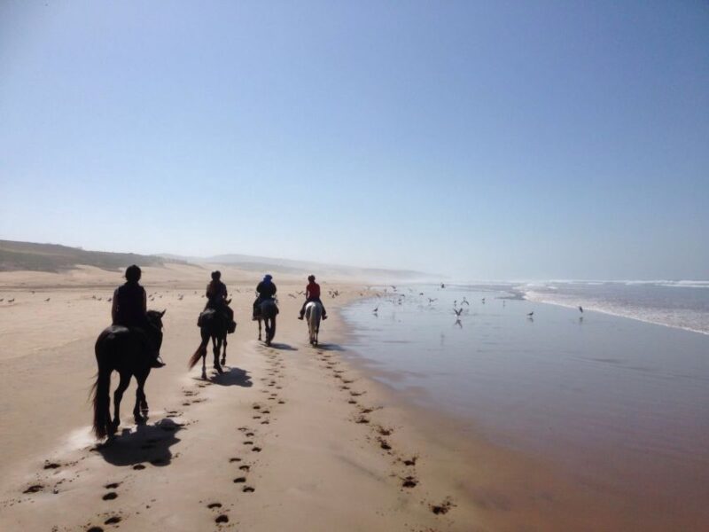 Essaouira: 3-Hour Horseback Ride - Pricing and Reservations