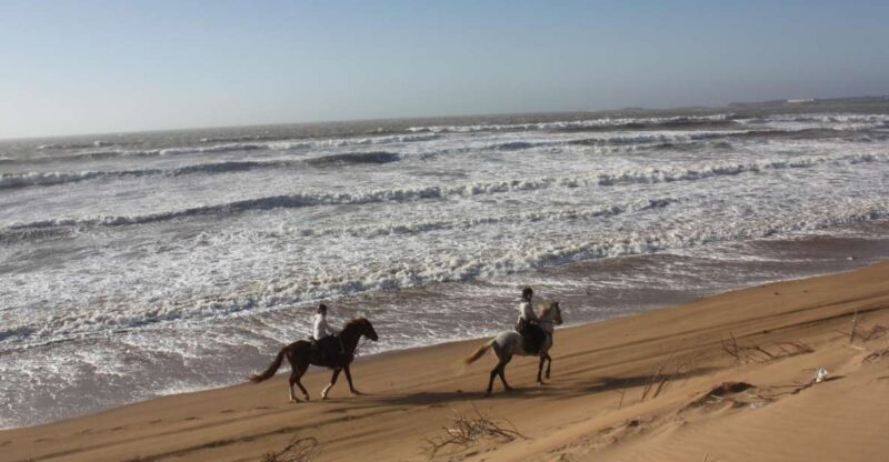 Essaouira: 3-Hour Horseback Ride - Experience Highlights