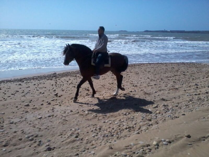 Essaouira: 3-Hour Horseback Ride - Frequently Asked Questions