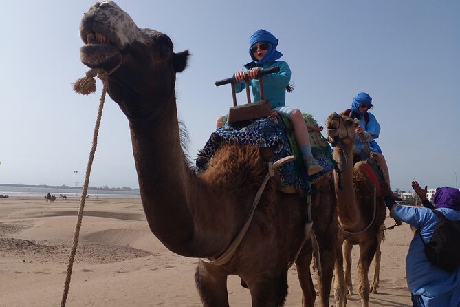 Essaouira: an Unforgettable 2 Hour Ride on a Camel - Good To Know