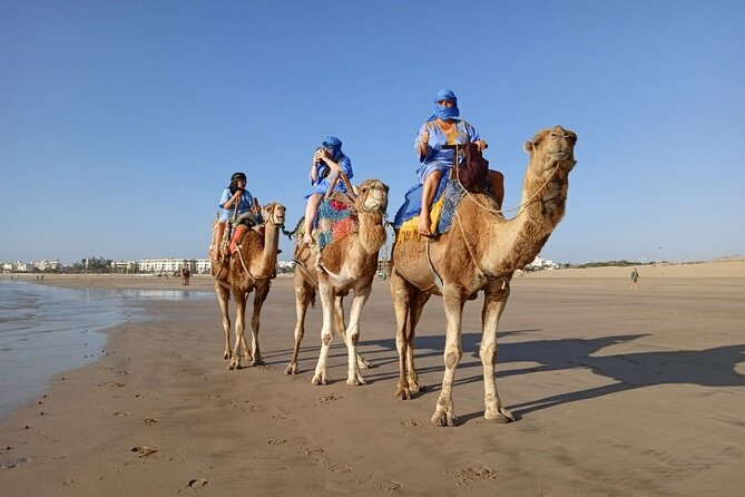 Essaouira: an Unforgettable 2 Hour Ride on a Camel - Embarking on the Camel Ride
