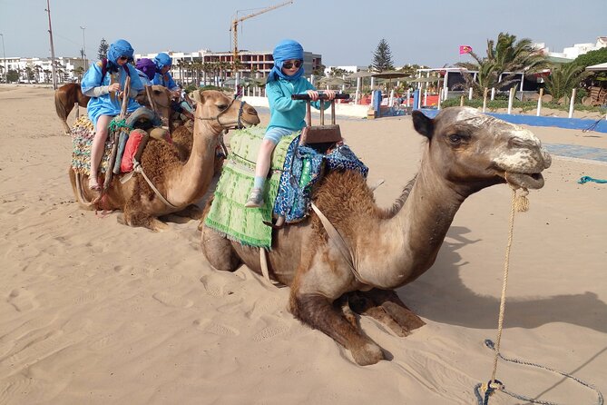Essaouira: an Unforgettable 2 Hour Ride on a Camel - Savoring Moroccan Hospitality