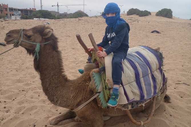 Essaouira: an Unforgettable 2 Hour Ride on a Camel - Exploring the Camels Habitat