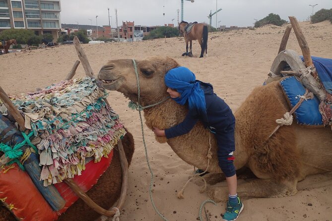 Essaouira: an Unforgettable 2 Hour Ride on a Camel - Tips for an Unforgettable Tour