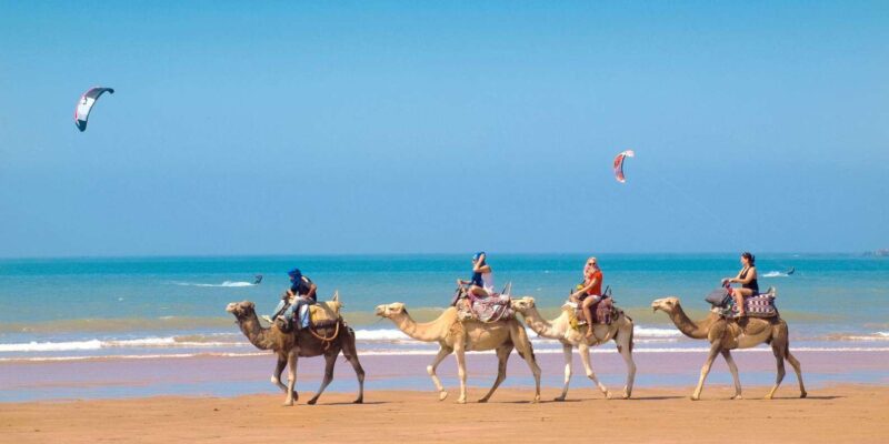 Essaouira City Day Trip From Marrakech - Important Considerations
