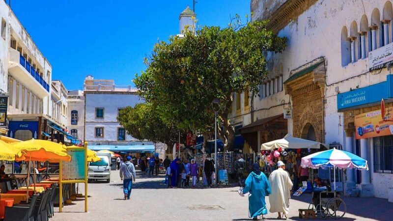 Essaouira Day Trip From Agadir - Itinerary Highlights