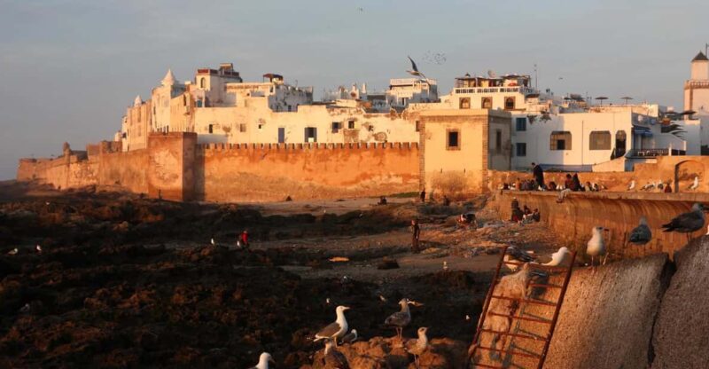 Essaouira Day Trip From Marrakech City - Itinerary Highlights