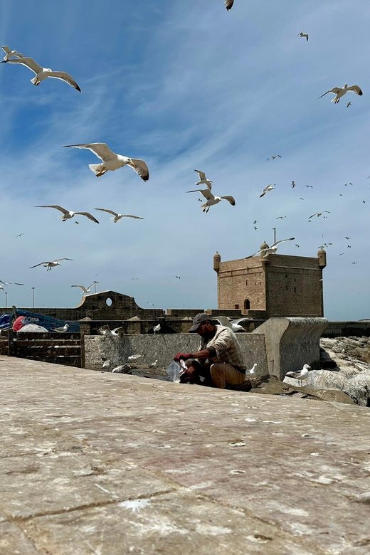 ESSAOUIRA DAY TRIP FROM MARRAKECH PRIVATE TOUR - Itinerary Highlights