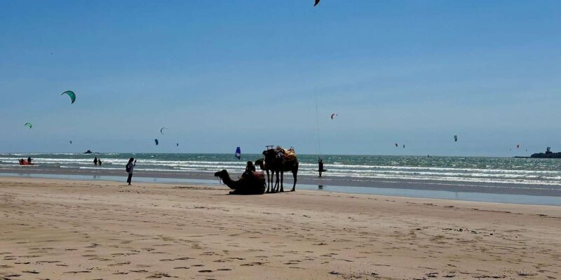 ESSAOUIRA DAY TRIP FROM MARRAKECH PRIVATE TOUR - Inclusions