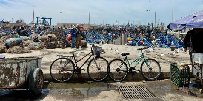 ESSAOUIRA DAY TRIP FROM MARRAKECH PRIVATE TOUR - Important Information