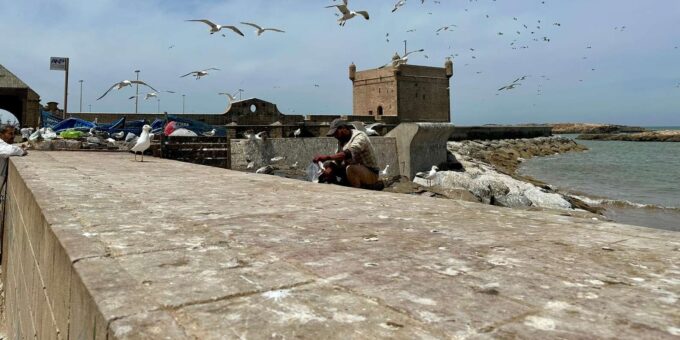 ESSAOUIRA DAY TRIP FROM MARRAKECH PRIVATE TOUR - Frequently Asked Questions