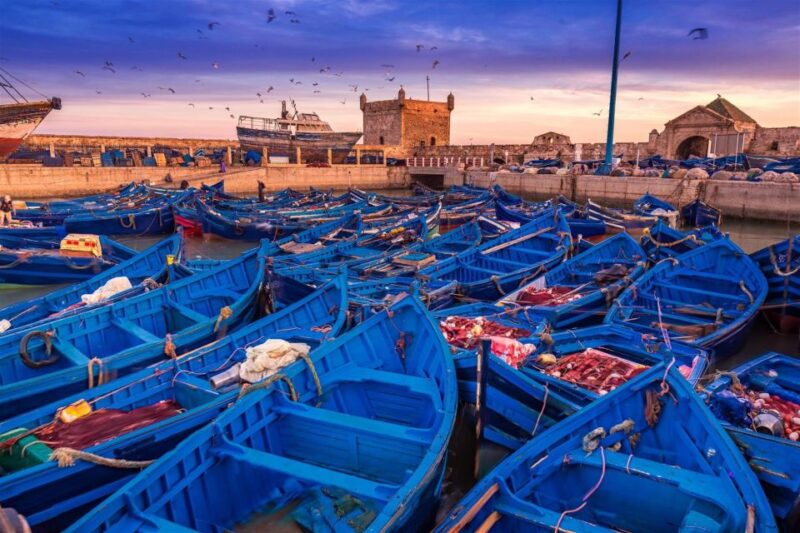 Essaouira: Day Trip to the Beautiful Mogador - Good To Know