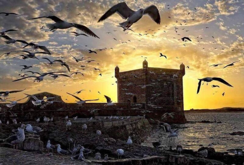 Essaouira: Day Trip to the Beautiful Mogador - Taking in the Citys Artistic Charm