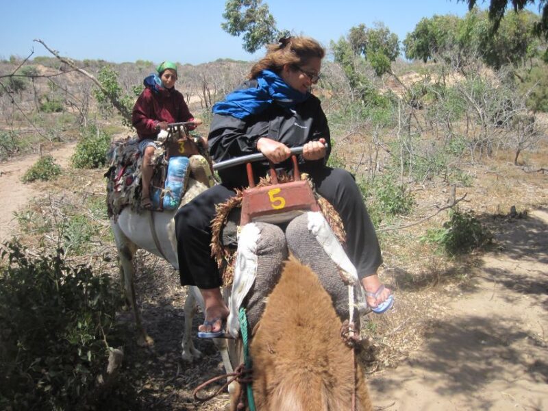 Essaouira: Guided 2h Dromedary Riding With Sunset - Good To Know