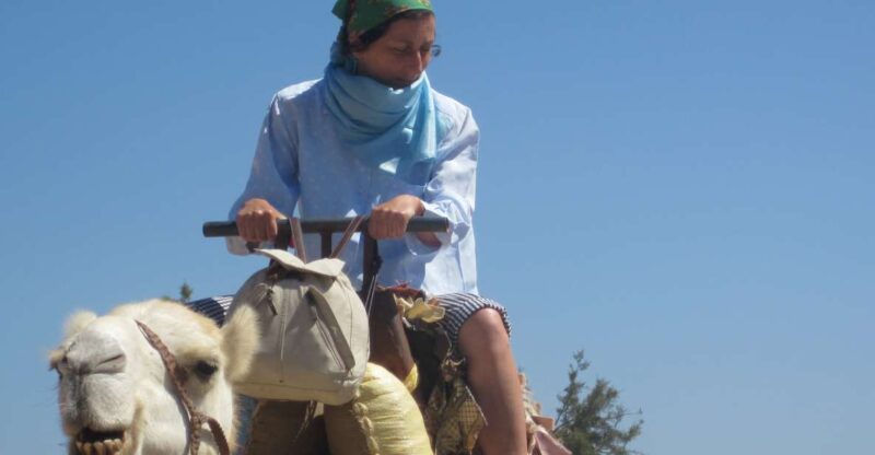 Essaouira: Guided 2h Dromedary Riding With Sunset - Activity Overview