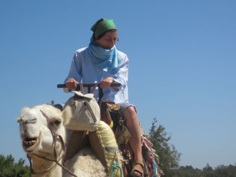 Essaouira: Guided 2h Dromedary Riding With Sunset - Tour Details