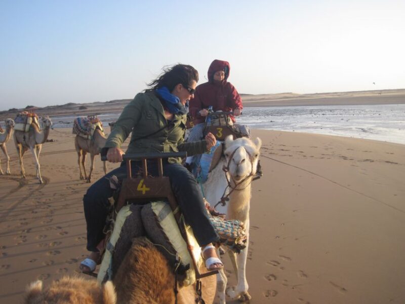 Essaouira: Guided 2h Dromedary Riding With Sunset - What to Expect