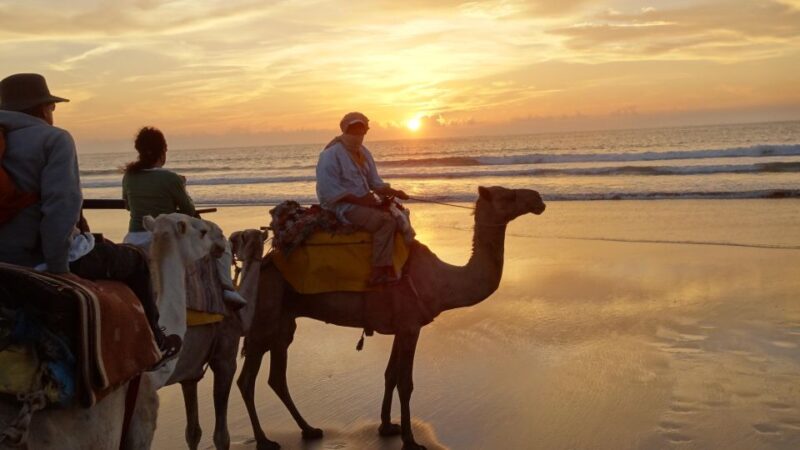 Essaouira: Guided 2h Dromedary Riding With Sunset - Sunset Experience