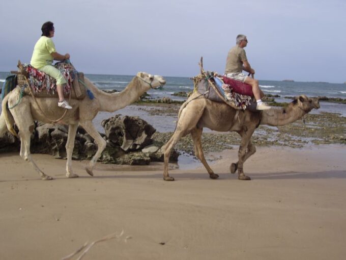 Essaouira: Guided 2h Dromedary Riding With Sunset - Frequently Asked Questions