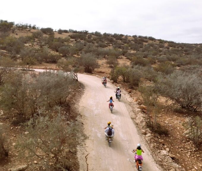 Essaouira : Half-Day E-Experience From Mountains to Sea - Frequently Asked Questions