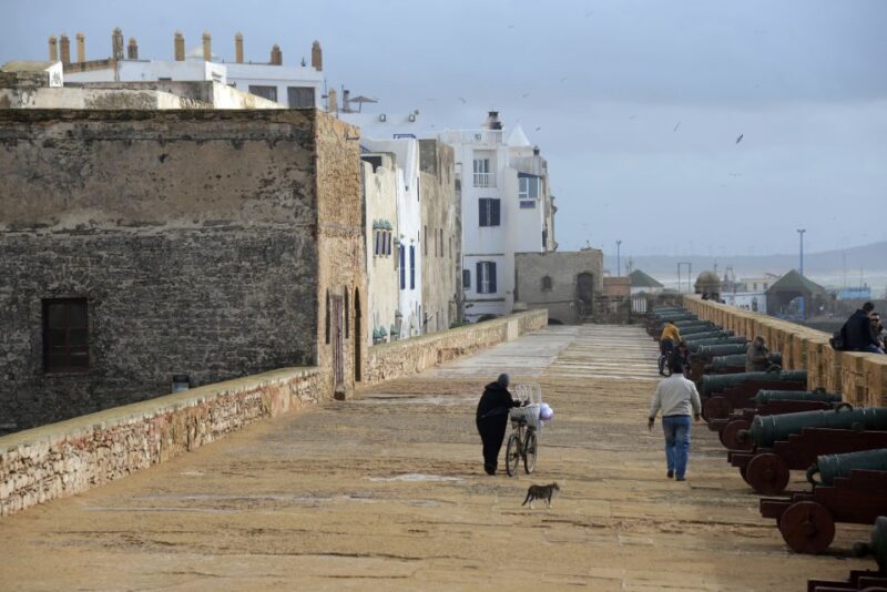 Essaouira: Half-Day Old Town Guided Tour - Booking Details