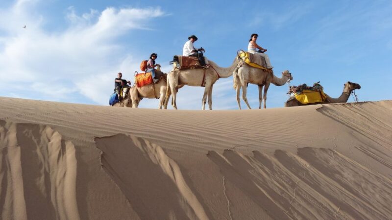 Essaouira: One Hour Dromedary Ride - Good To Know
