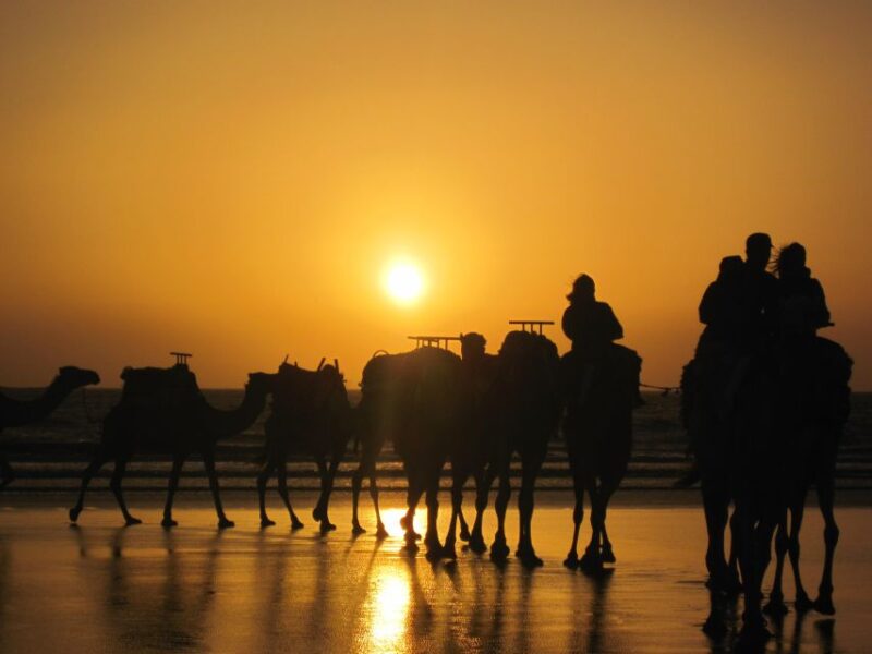 Essaouira: One Hour Dromedary Ride - Overview of the Activity
