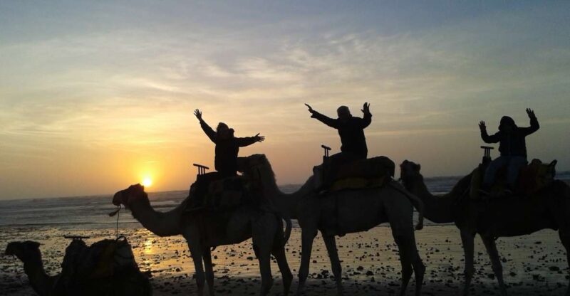 Essaouira: One Hour Dromedary Ride - Highlights of the Experience