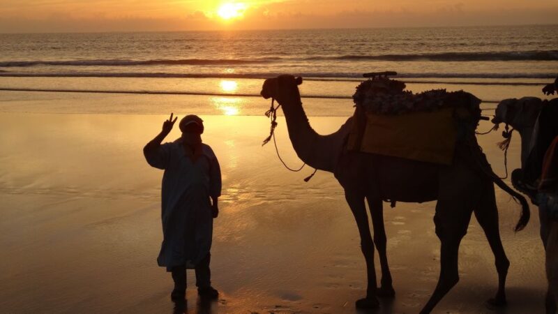 Essaouira: One Hour Dromedary Ride - Inclusions and Meeting Point