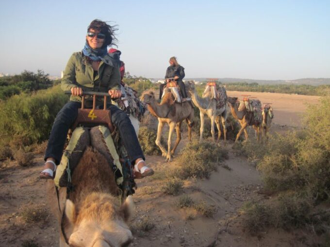 Essaouira: One Hour Dromedary Ride - Eco-friendly and Stress-free Ride