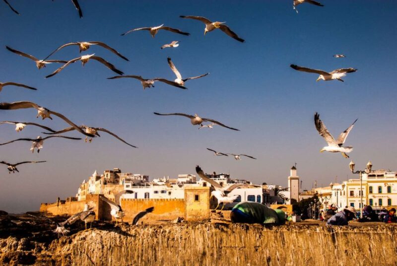 Essaouira Private Day Trip From Marrakech - Essaouiras Coastal Charm