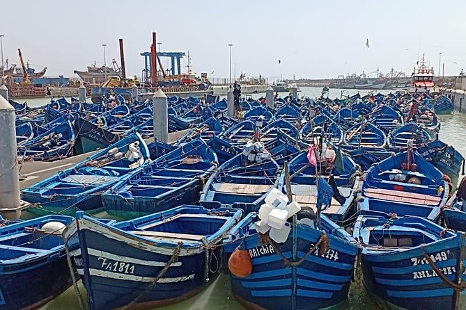 Essaouira Private Day Trip From Marrakech - Pickup and Transportation