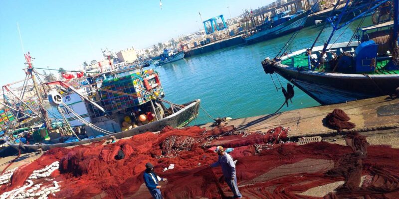 Essaouira, Private Day Trip to the Coast - Good To Know