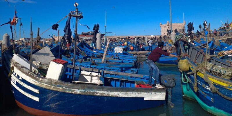 Essaouira, Private Day Trip to the Coast - Savoring Seafood Delights