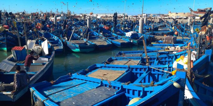 Essaouira, Private Day Trip to the Coast - Hassle-Free Transportation