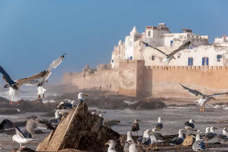 Essaouirra Private Transfer From Marrakech - Good To Know