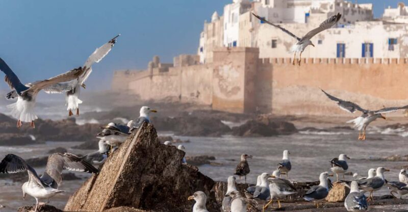 Essaouirra Private Transfer From Marrakech - Pickup and Departure