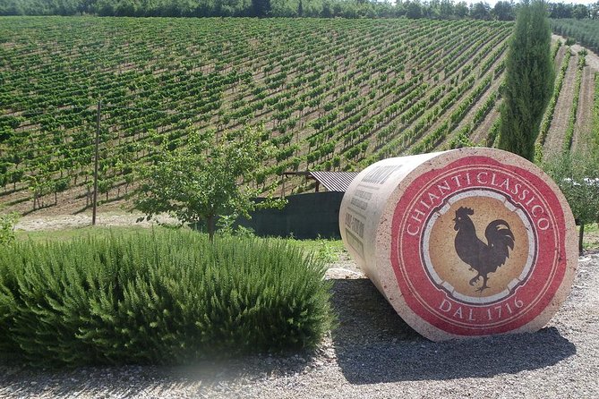 Essence of Chianti Small Group Tour With Lunch and Tastings From Florence - Customer Reviews