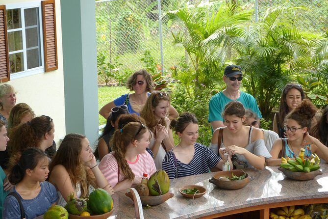 Essence of St Lucia Heritage Experience - Starting Point and Logistics