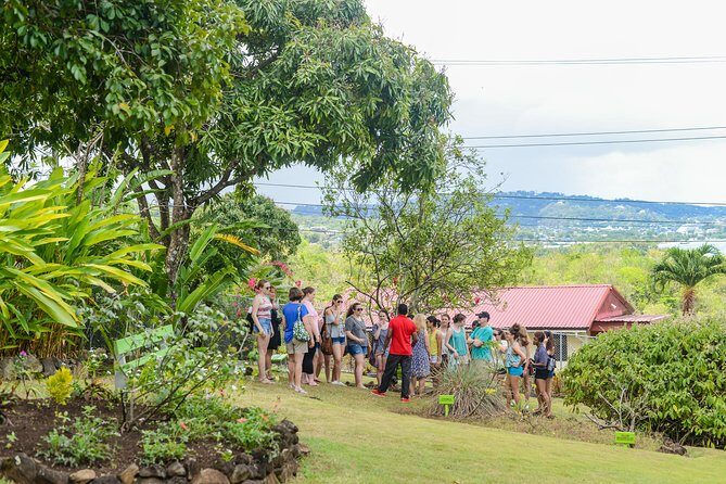 Essence of St Lucia Heritage Experience - The Medicinal Herb Garden